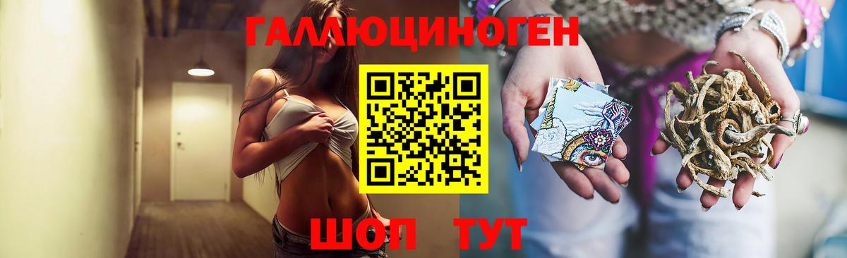 Галлюциногенные грибы Psilocybe  Псилоцибиновые грибы GOLDEN TEACHER  Вход с VPN  Белогорск 